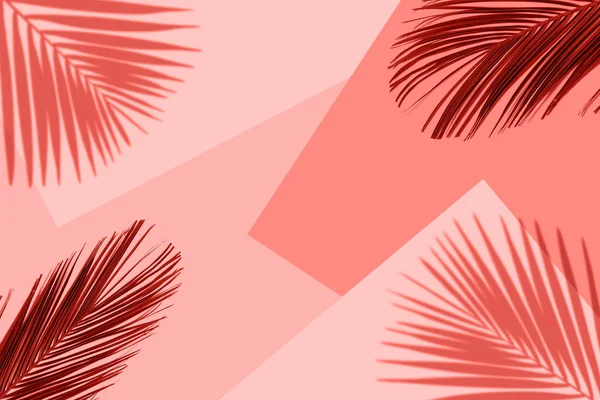 Tropical coral color background with exotic tropical palm leaves. — Stock Photo, Image