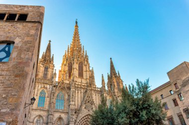 Gothic Barselona Katedrali, gündoğumu, İspanya.
