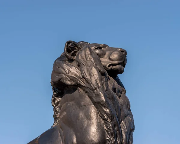 Bronze lion statue on background of the blue sky.