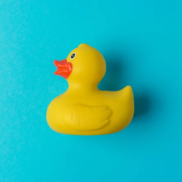 Canard en caoutchouc jaune sur fond bleu. Concept minimal d'été . — Photo