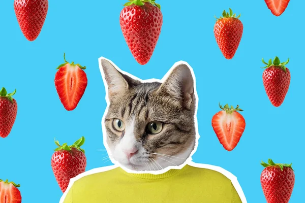 Collage de gato y fresa, diseño de concepto de arte pop. Fondo de verano mínimo vibrante . — Foto de Stock