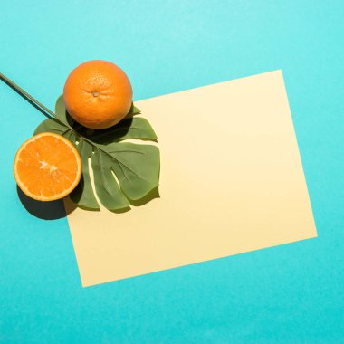 Parlak mavi arka plan üzerinde dilimlenmiş turuncu ile Tropikal palmiye yaprağı. Minimal yaz kompozisyonu. Düz yatıyordu.