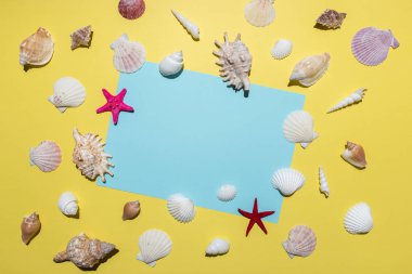 Parlak sarı arka plan üzerinde deniz kabukları ve mavi kağıt kartı ile yaratıcı kompozisyon. Yaz minimal kavramı.
