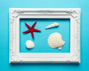 Mavi arka plan üzerinde beyaz çerçeve ile yaratıcı deniz kabukları kompozisyon. Yaz minimal kavramı.