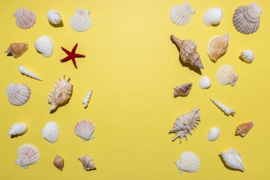 Parlak sarı arka planda yaratıcı deniz kabuğu deseni. Yaz minimal kavramı.