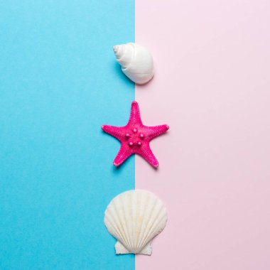 Parlak arka planda deniz kabukları ve kırmızı denizyıldızı ile yaratıcı kompozisyon. Yaz minimal kavramı.