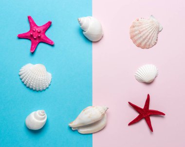 Parlak arka planda deniz kabukları ve kırmızı denizyıldızı ile yaratıcı kompozisyon. Yaz minimal kavramı.