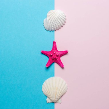 Parlak arka planda deniz kabukları ve kırmızı denizyıldızı ile yaratıcı kompozisyon. Yaz minimal kavramı.