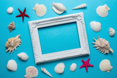 Mavi arka plan üzerinde beyaz çerçeve ile yaratıcı deniz kabukları kompozisyon. Yaz minimal kavramı.