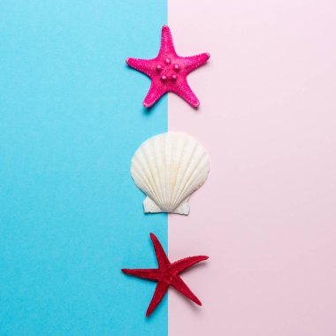 Parlak arka planda deniz kabukları ve kırmızı denizyıldızı ile yaratıcı kompozisyon. Yaz minimal kavramı.
