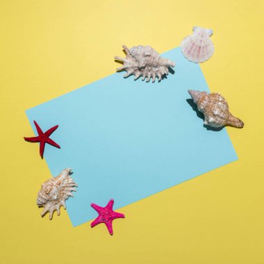 Parlak sarı arka plan üzerinde deniz kabukları ve mavi kağıt kartı ile yaratıcı kompozisyon. Yaz minimal kavramı.