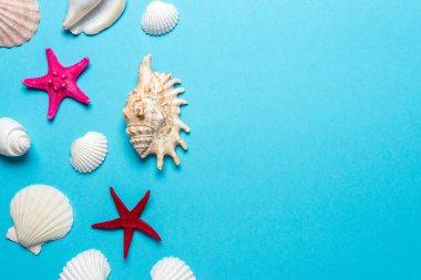 Mavi arka plan üzerine yaratıcı deniz kabukları kompozisyon. Yaz minimal kavramı.