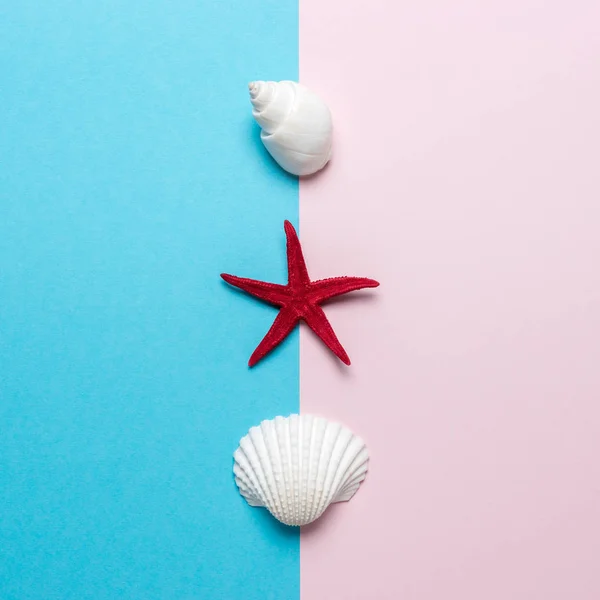 Composizione creativa con conchiglie e stelle marine rosse su sfondo brillante. Concetto estate minima . — Foto Stock