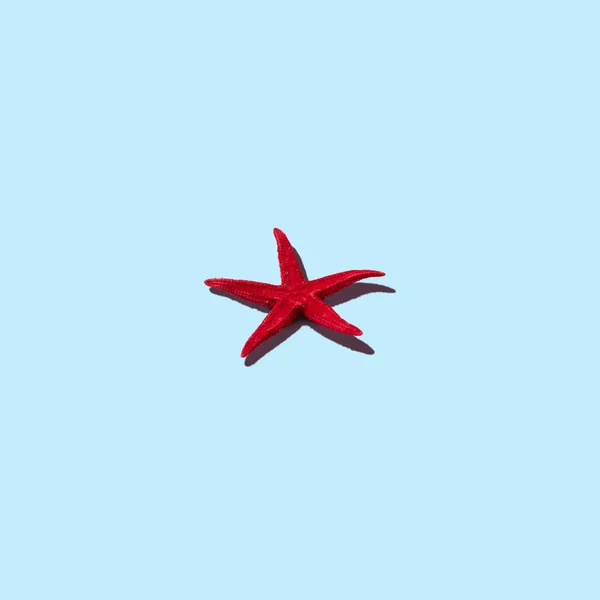 Composição criativa com estrela-do-mar vermelha sobre fundo brilhante. Verão conceito mínimo . — Fotografia de Stock