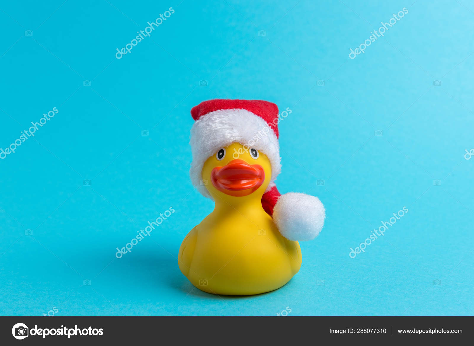 rubber duck with hat