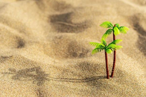 Tropisk Palm Leksak Sand Bakgrund Kreativ Minimal Sommar Koncept — Stockfoto