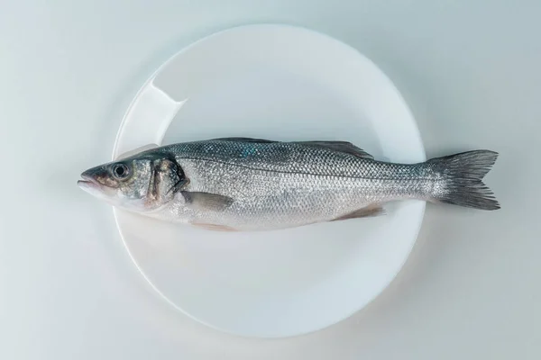 Сира Свіжа Морська Риба Білій Тарілці Концепція Мінімальної Їжі Вид — стокове фото