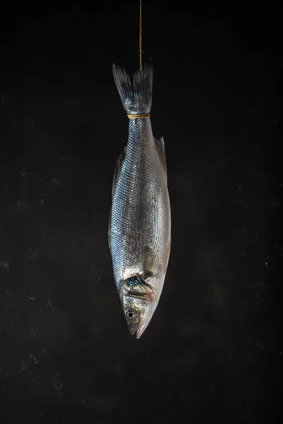 新鮮な海草魚が黒い背景のロープにかかっています 魚介類コンセプト — ストック写真
