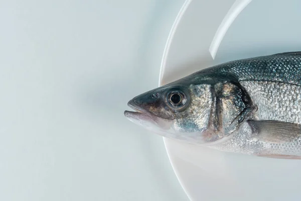 白い皿の上に新鮮な海草の魚を生 最小限の食品コンセプト トップ表示 — ストック写真