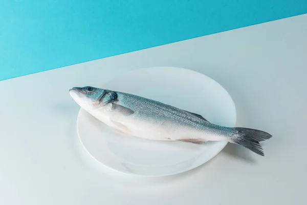 Peixe Marinho Fresco Cru Num Prato Branco Conceito Mínimo Alimento — Fotografia de Stock