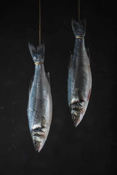 黒を背景に2匹の新鮮な海草魚が縄にかかっている 魚介類コンセプト — ストック写真