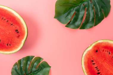 Pembe arka planda palmiye yaprağı olan karpuz. Yaratıcı asgari yaz kavramı.