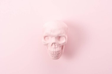 Pembe arka planda pembe kafatası. Asgari Cadılar Bayramı ürkütücü kavramı.