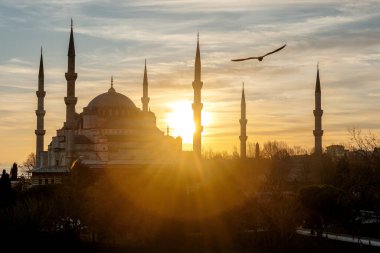 İstanbul, Türkiye 'de Mavi Cami ya da Martılı Sultanahmet Camii üzerine Gün Batımı.