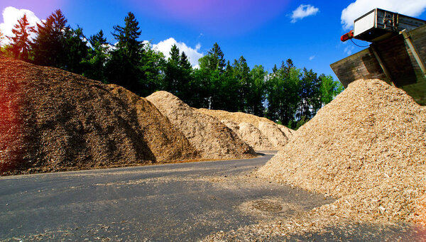 storage of wooden fuel (biomass) against blue sky