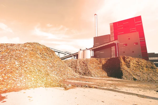 Biokraftwerk Mit Holzbrennstofflagerung Gegen Blaualgen — Stockfoto