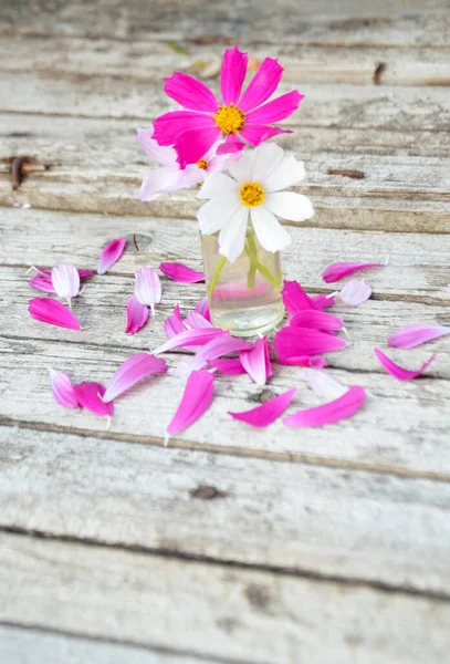 kosmeya flowers in a bottle near petals on a wooden background selective background