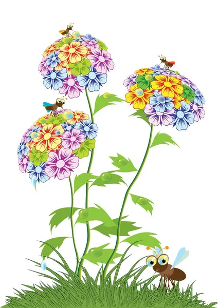 様々 な夏の花. — ストックベクタ