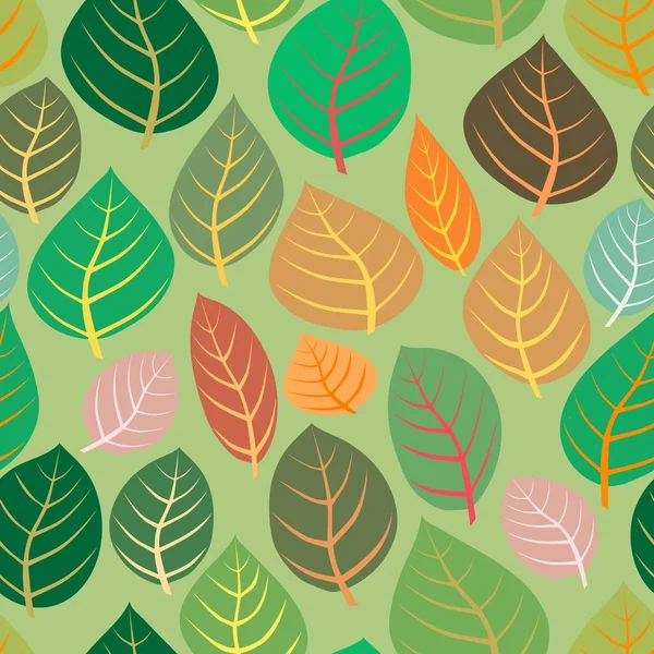 Una variedad de hojas sobre un fondo verde . — Vector de stock