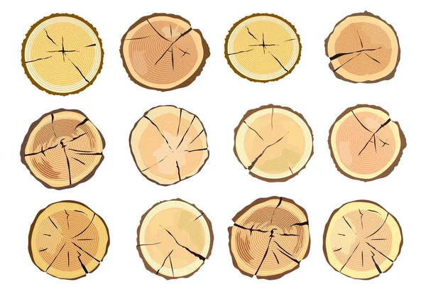 Grumes en bois. Écorce brune de bois sec abattu . — Image vectorielle