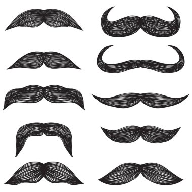 Vektör hipster bıyık seti. Erkek yüz dekorasyonu.
