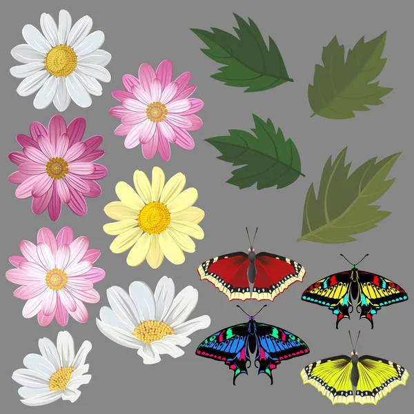 꽃, 나뭇잎과 나비. 자연의 테마를 그리기 위한 설정. — 스톡 벡터