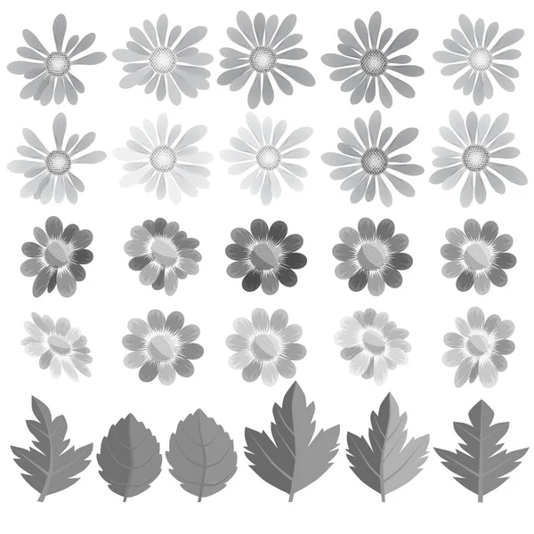 灰色色调的花、叶和蝴蝶. — 图库矢量图片