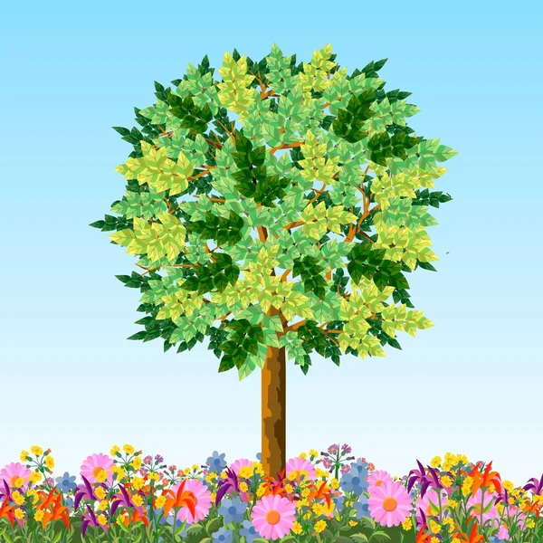 Vector image of a tree with green foliage. — Stock Vector