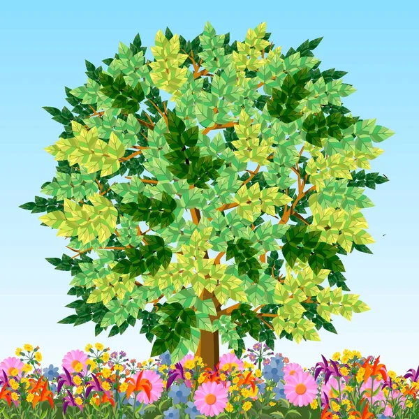 Vector image of a tree with green foliage. — Stock Vector