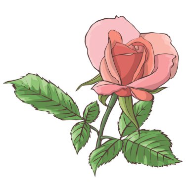 Güllerden güzel bir buket çiçek. Vektör illüstrasyonu