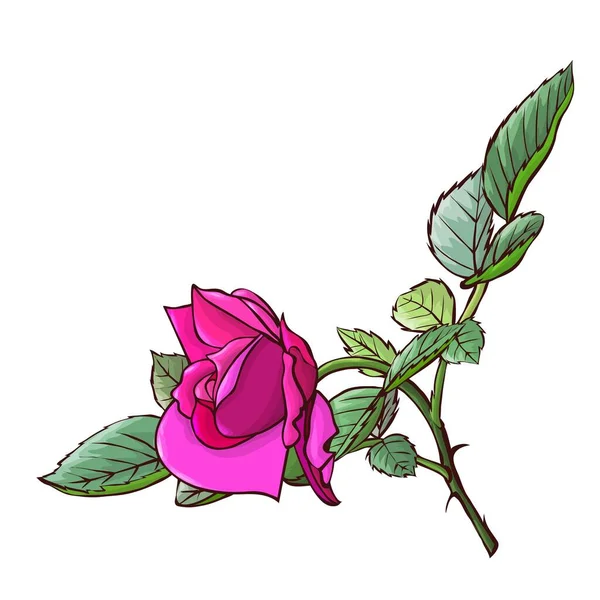 Carino bouquet di fiori da rose. Illustrazione vettoriale — Vettoriale Stock