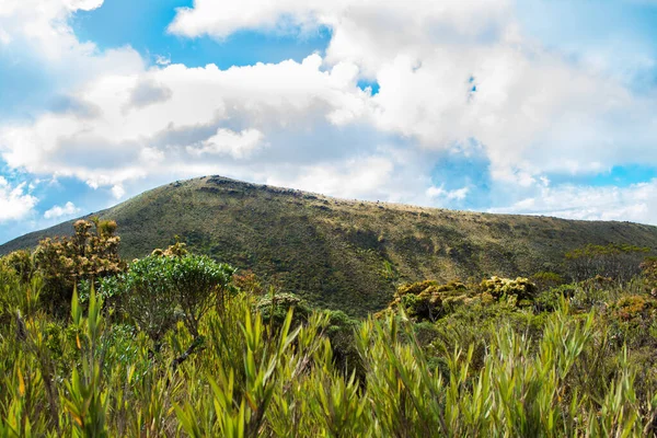 Cima de una montaa en un paramo Colombiano