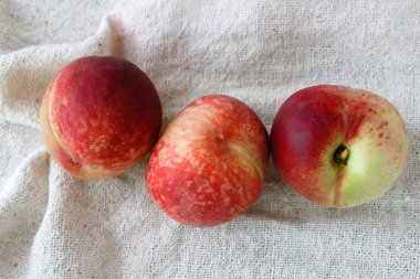 Beyaz arka plan üzerinde taze şeftali vardır.