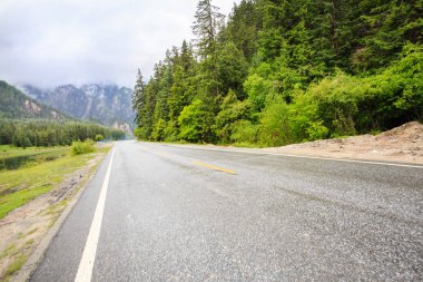 Orman Vadisi'nde bir yol