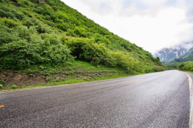 Orman Vadisi'nde bir yol