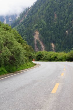 Orman Vadisi'nde bir yol