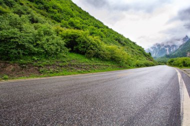 Orman Vadisi'nde bir yol