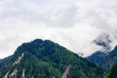 Tepeler ve yeşil ormanlar arasında beyaz bulutlar vardır.