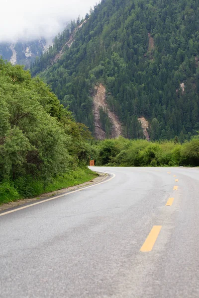 Orman Vadisi'nde bir yol