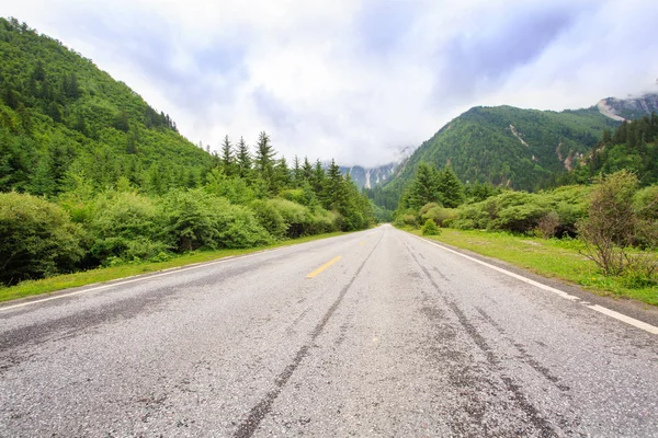 Orman Vadisi'nde bir yol